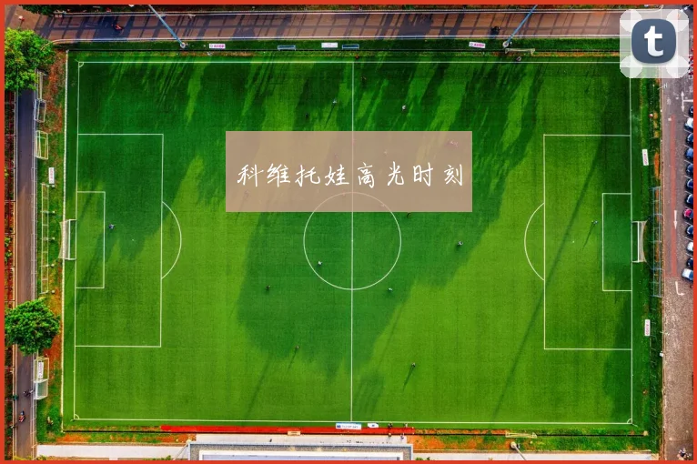 科维托娃高光时刻