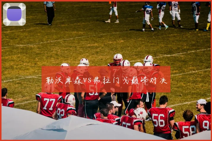 勒沃库森vs弗拉门戈巅峰对决